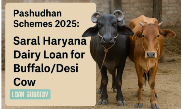 Pashudhan Schemes 2025: Saral Haryana Dairy Loan for Buffalo/Desi Cow – Apply Online